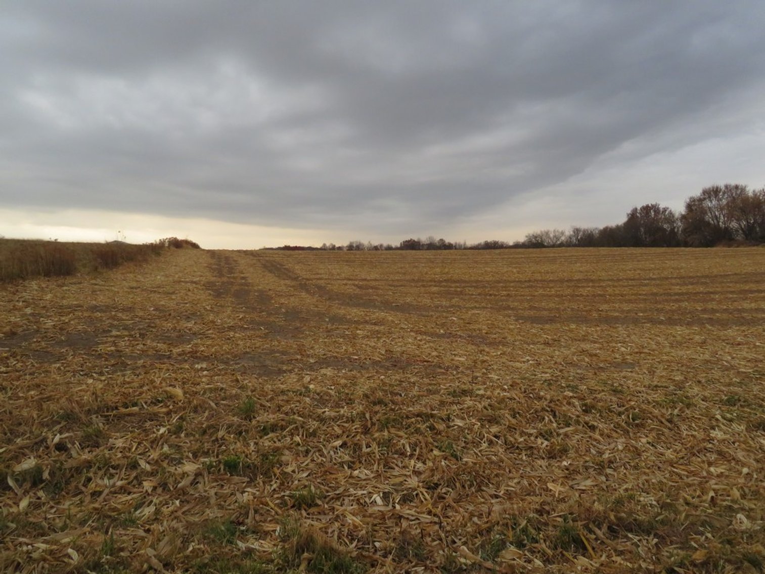 Image for Unique Country Home on 28 Acres