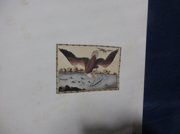 Image for National Geographic Historical Atlas of the United States