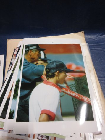 Image for Baseball collectibles