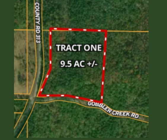 Image for Court Ordered Auction - Unrestricted 155+/- Acres Divided into 8 Tracts