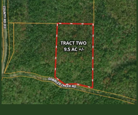 Image for Court Ordered Auction - Unrestricted 155+/- Acres Divided into 8 Tracts