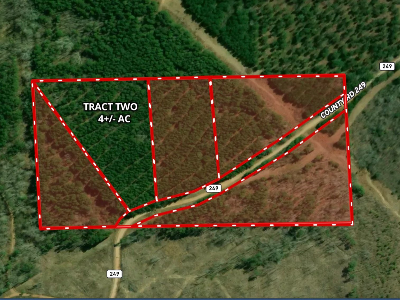 Image for AUCTION 19 ACRES+/- Unrestricted Land | 5 Tracts or Whole | Randolph County AL