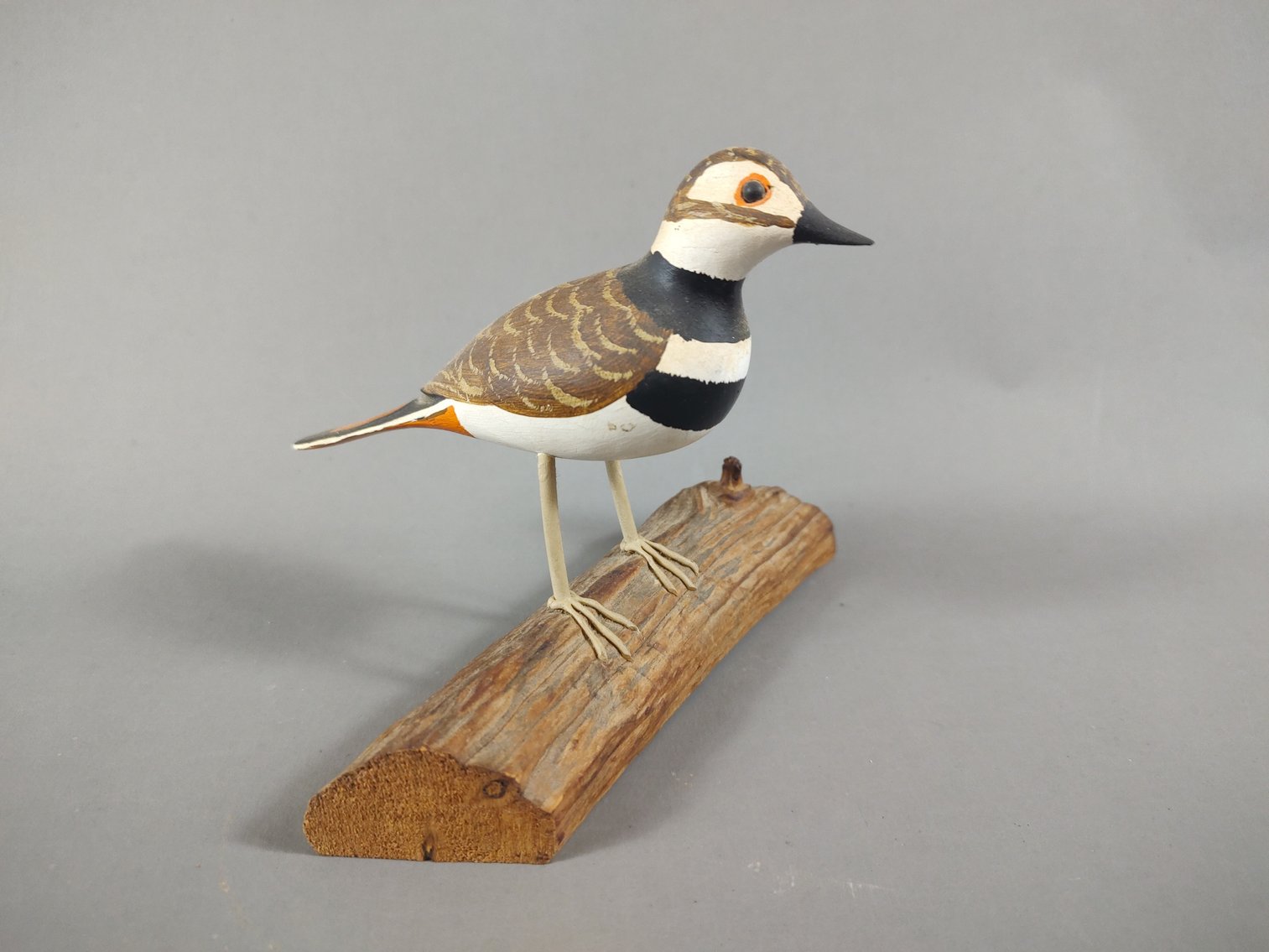 Image for Camp Occohannock on the Bay Fundraising Auction 2024