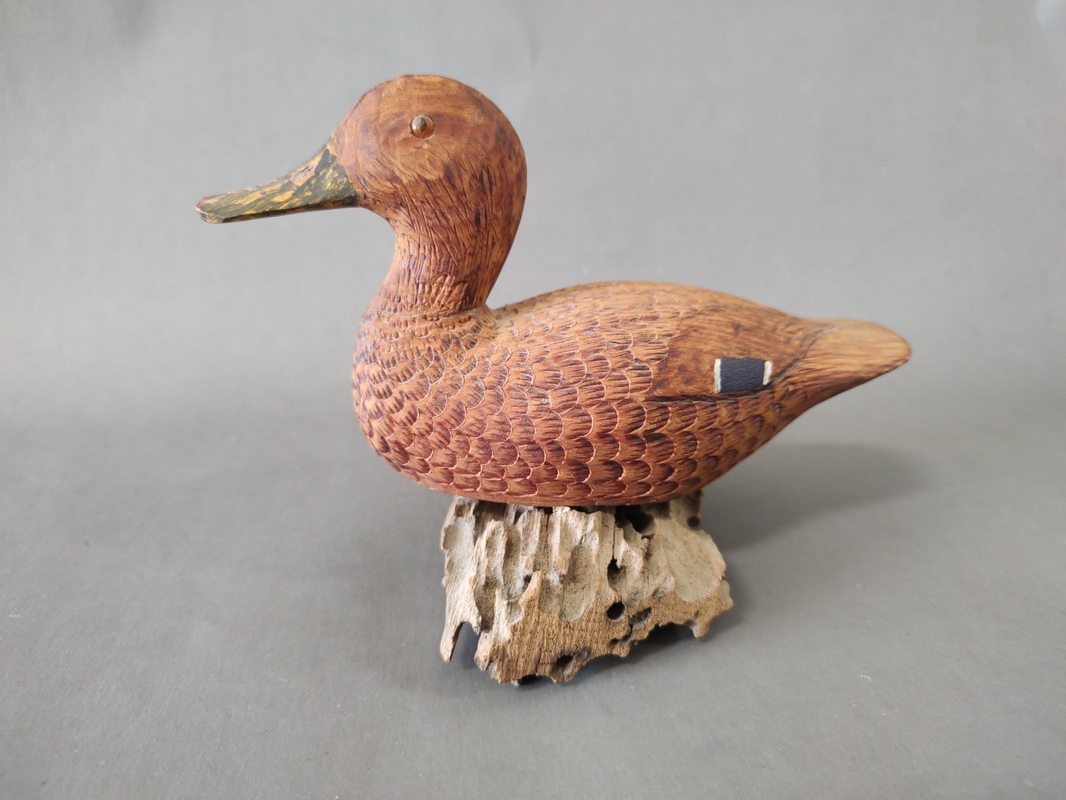 Image for Camp Occohannock on the Bay Fundraising Auction 2024