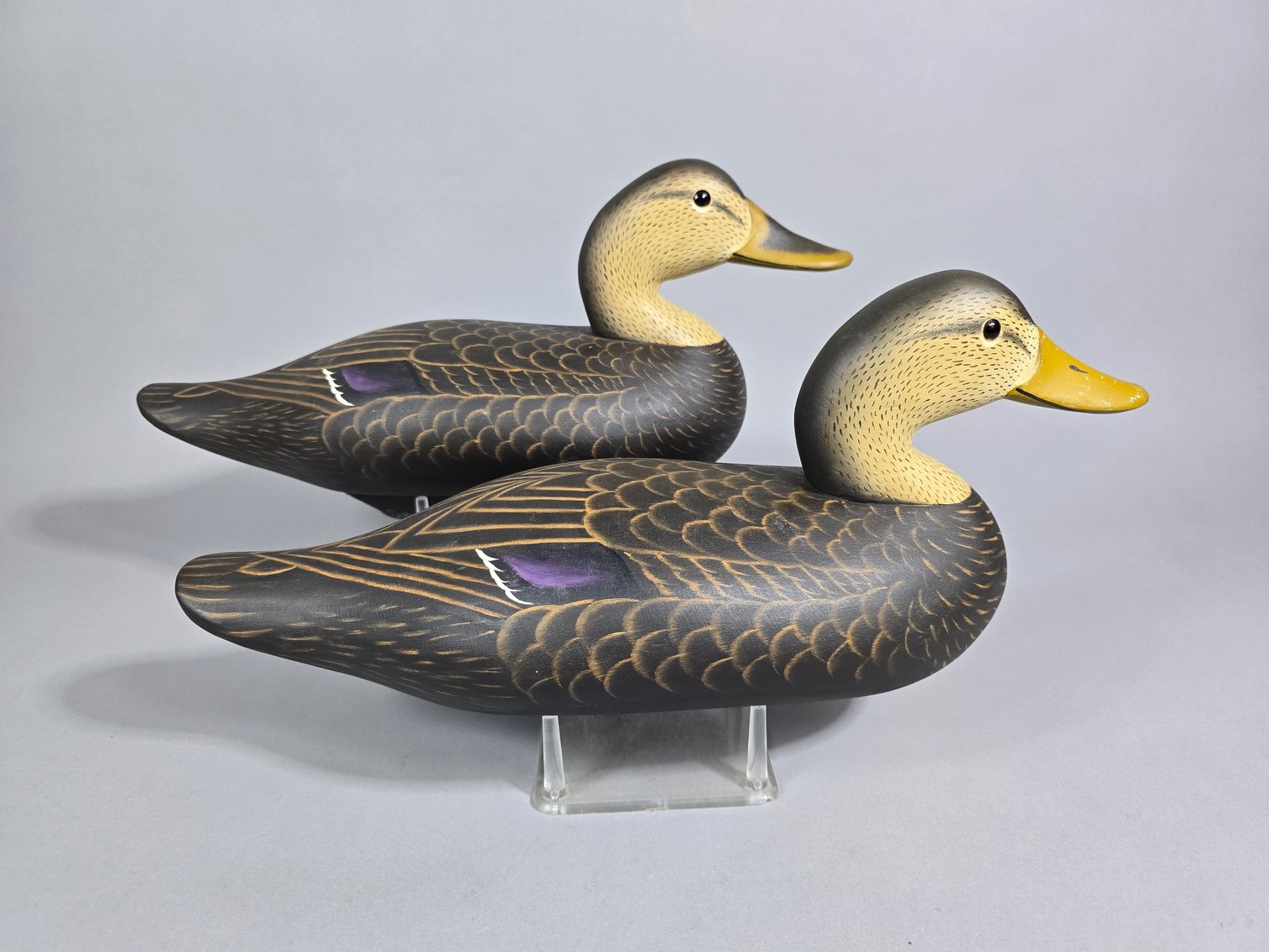 Image for End of January Online Sportsman's Auction 2025