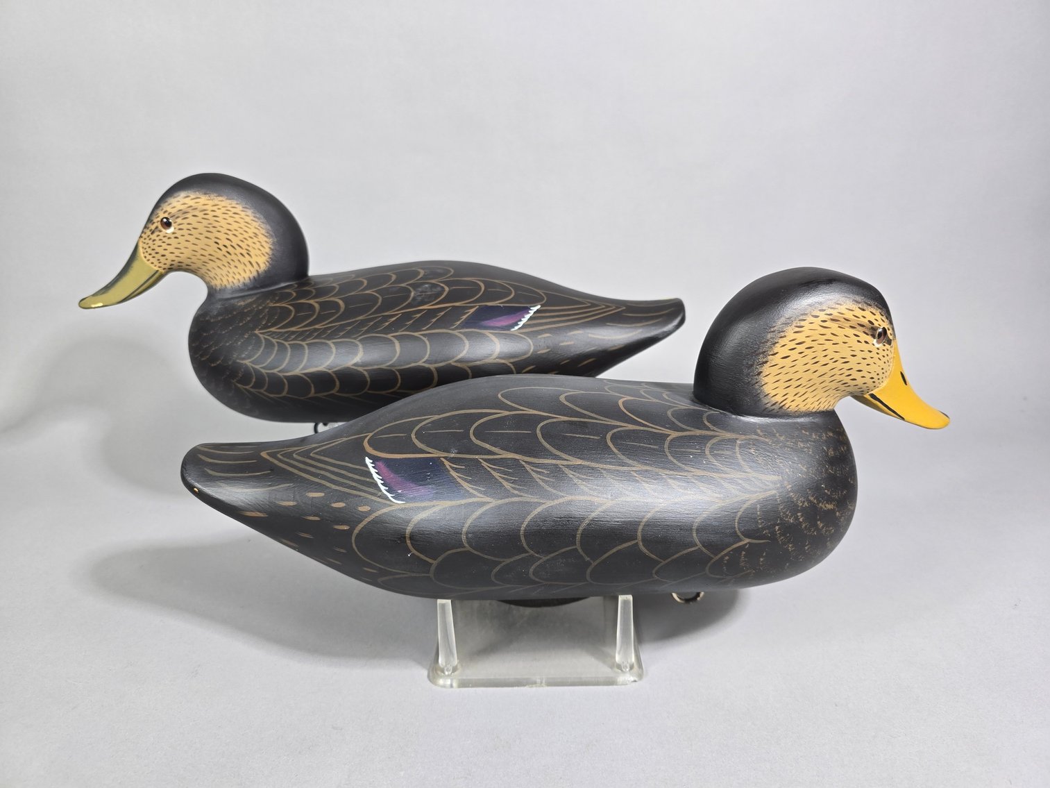 Image for End of January Online Sportsman's Auction 2025