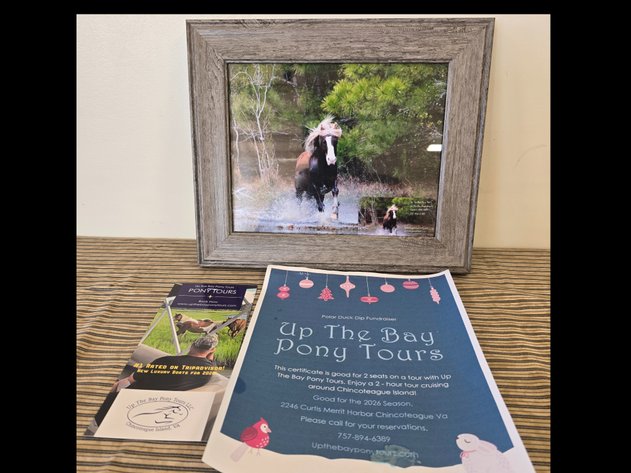 Image for Camp Occohannock on the Bay Fundraising Auction 2026