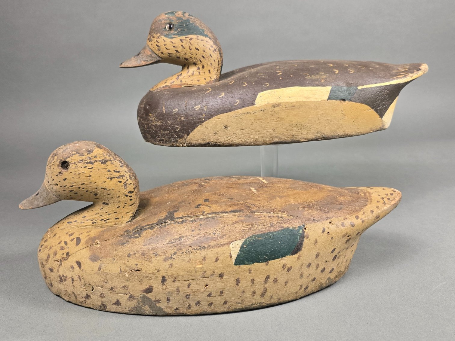 Image for Young Collectors Auction 2026