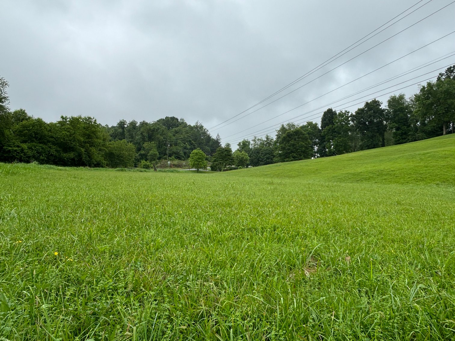 Image for BORDWINE ROAD  BRISTOL, VA 24202