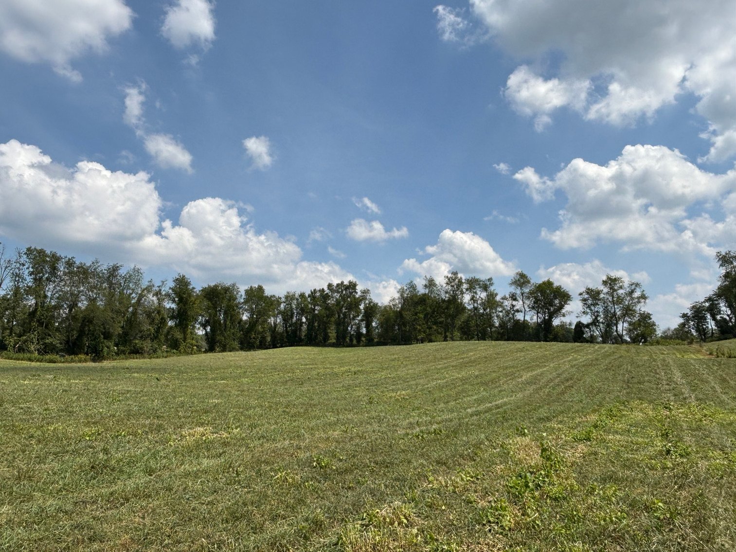 Image for CEDAR CREEK ROAD  MEADOWVIEW, VA 24361