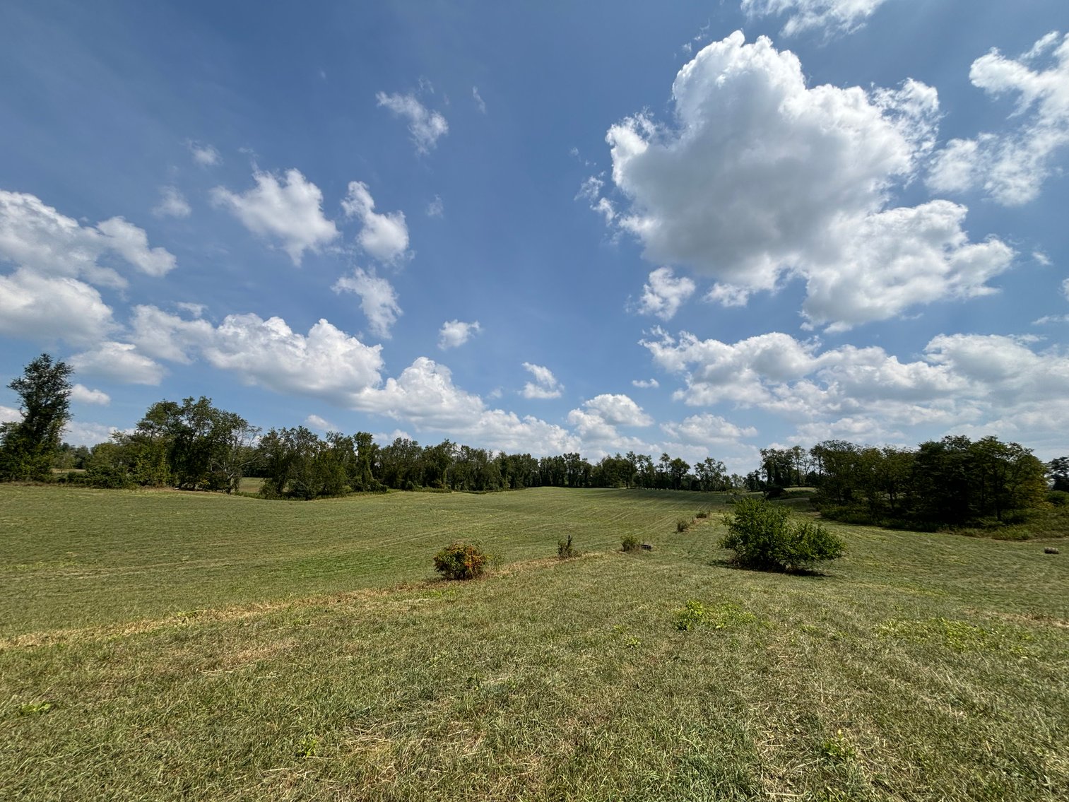 Image for CEDAR CREEK ROAD  MEADOWVIEW, VA 24361