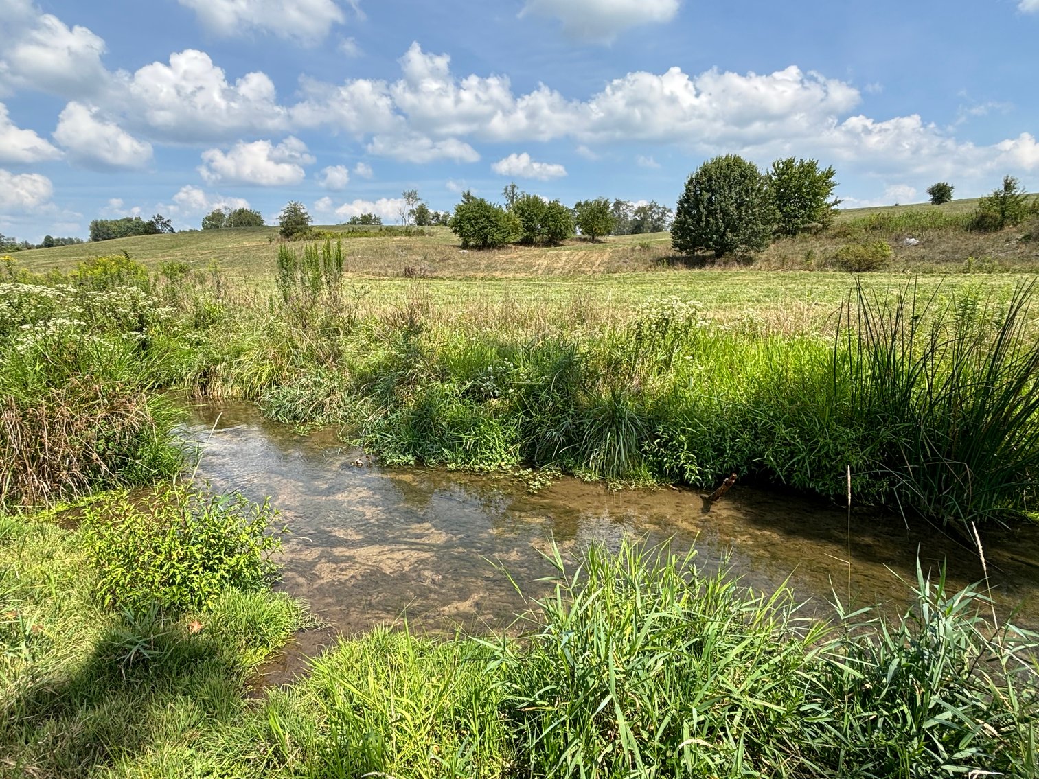 Image for CEDAR CREEK ROAD  MEADOWVIEW, VA 24361