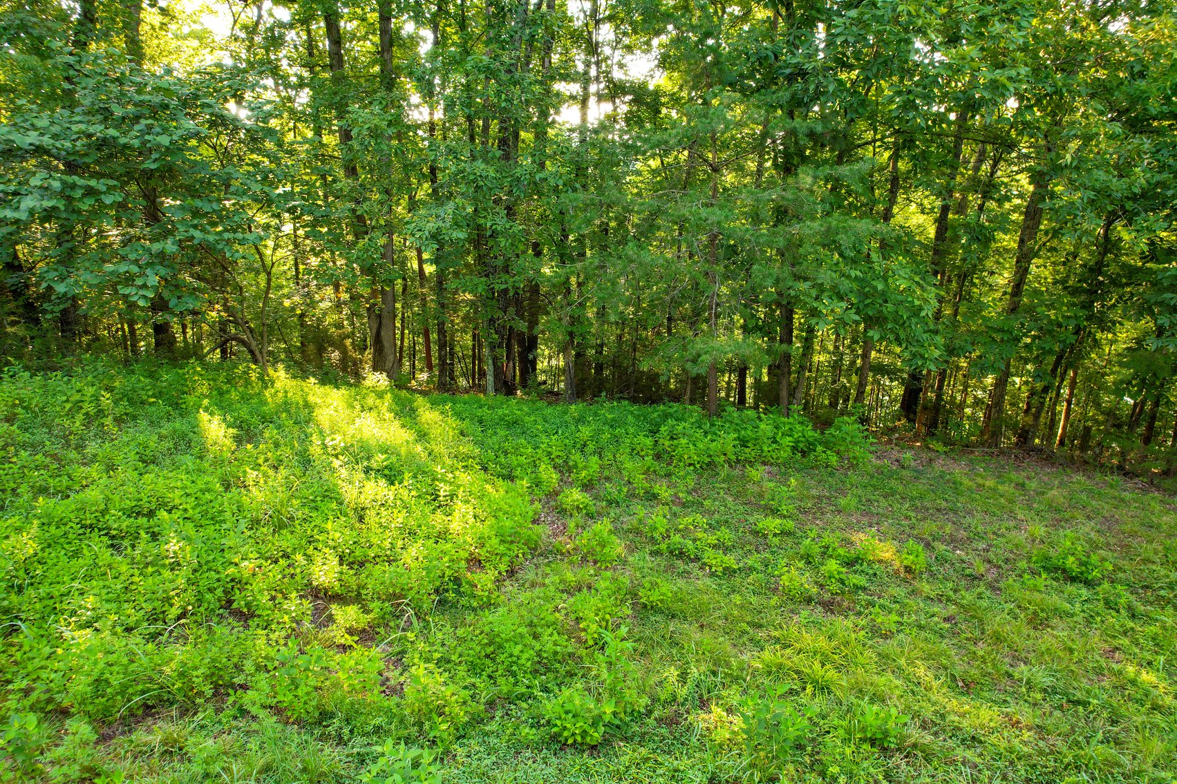 Image for 121 POINTE DR.  PINEY FLATS, TN 37686