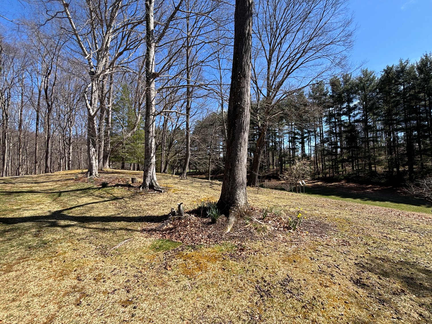 Image for 11066 MOUNT CALM DRIVE  GLADE SPRING, VA 24340