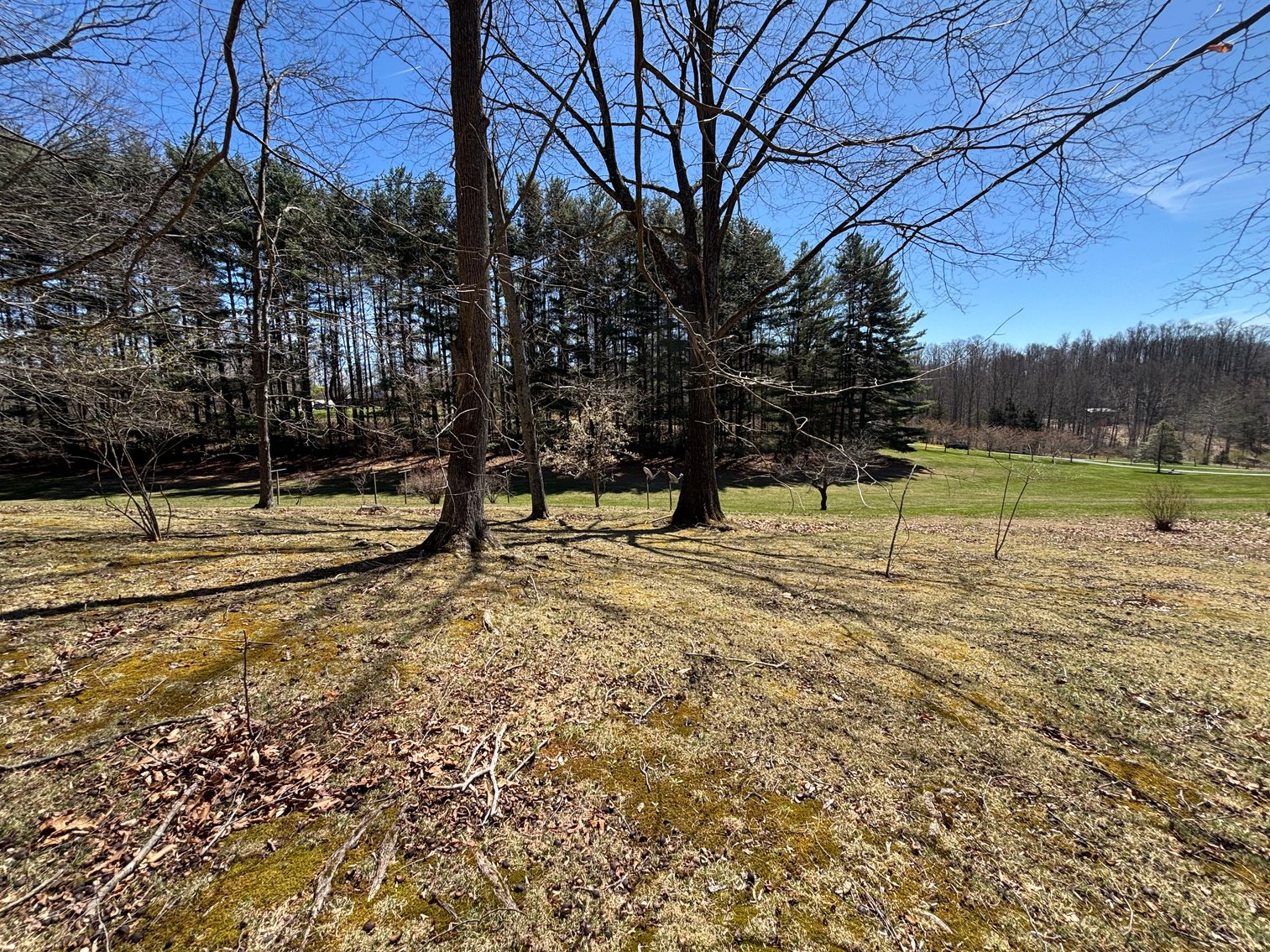 Image for 11066 MOUNT CALM DRIVE  GLADE SPRING, VA 24340