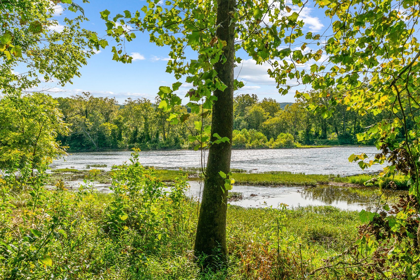 Image for River Property 4535 Clarks Ferry Rd, Draper Va 24324