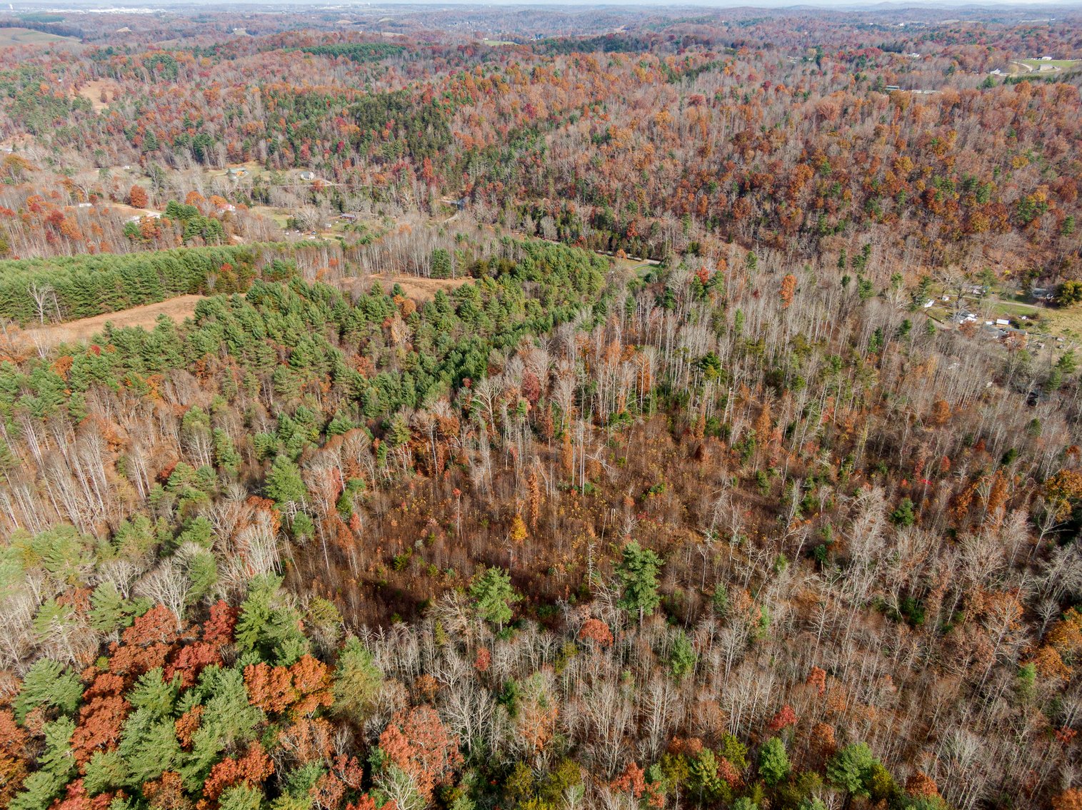 Image for 2717 Max Creek Road Hiwassee, Va. 24347