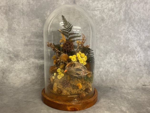 Image for Public Online Only Multi-Estate Auction November 22nd, 2025 at 10 a.m.