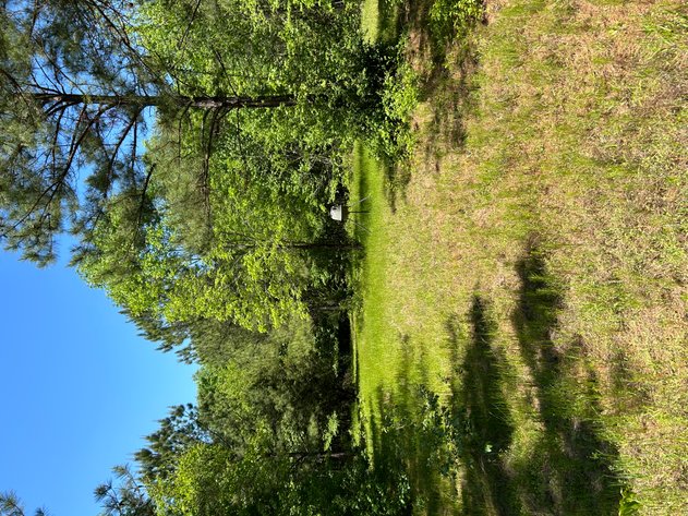 Image for LIVE AUCTION -  Offering 274.04 acres Located on Salem Church Miller Rd & Hwy 49 in Jones County, Georgia.  To Settle The Estates of Barbara Miller and Felton Miller