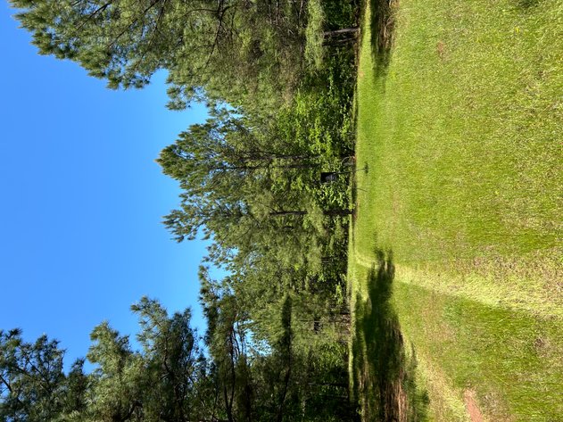 Image for LIVE AUCTION -  Offering 274.04 acres Located on Salem Church Miller Rd & Hwy 49 in Jones County, Georgia.  To Settle The Estates of Barbara Miller and Felton Miller