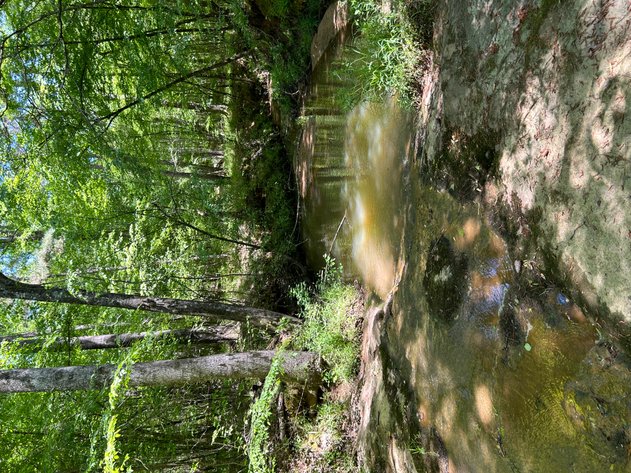 Image for LIVE AUCTION -  Offering 274.04 acres Located on Salem Church Miller Rd & Hwy 49 in Jones County, Georgia.  To Settle The Estates of Barbara Miller and Felton Miller