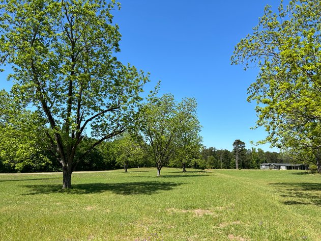 Image for LIVE AUCTION -  Offering 274.04 acres Located on Salem Church Miller Rd & Hwy 49 in Jones County, Georgia.  To Settle The Estates of Barbara Miller and Felton Miller