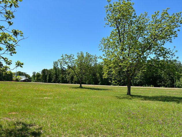 Image for LIVE AUCTION -  Offering 274.04 acres Located on Salem Church Miller Rd & Hwy 49 in Jones County, Georgia.  To Settle The Estates of Barbara Miller and Felton Miller