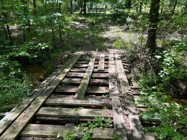 Image for LIVE AUCTION -  Offering 274.04 acres Located on Salem Church Miller Rd & Hwy 49 in Jones County, Georgia.  To Settle The Estates of Barbara Miller and Felton Miller