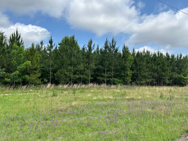 Image for LIVE AUCTION - Offering 122.78 Acres on Sawmill Road and Highway 280 in Montgomery County, Georgia