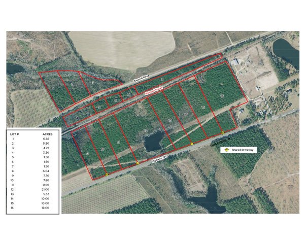 Image for LIVE AUCTION - Offering 122.78 Acres on Sawmill Road and Highway 280 in Montgomery County, Georgia