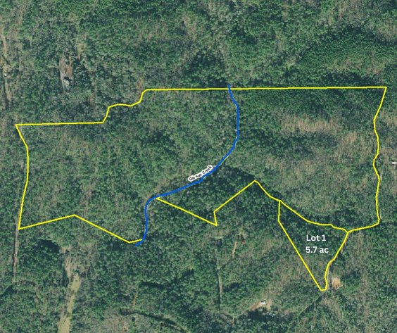 Image for ONLINE AUCTION - 131 Acres near Ellijay in Gilmer County, Georgia