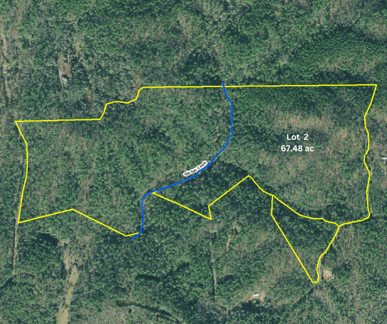 Image for ONLINE AUCTION - 131 Acres near Ellijay in Gilmer County, Georgia