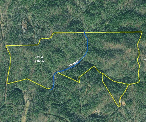 Image for ONLINE AUCTION - 131 Acres near Ellijay in Gilmer County, Georgia