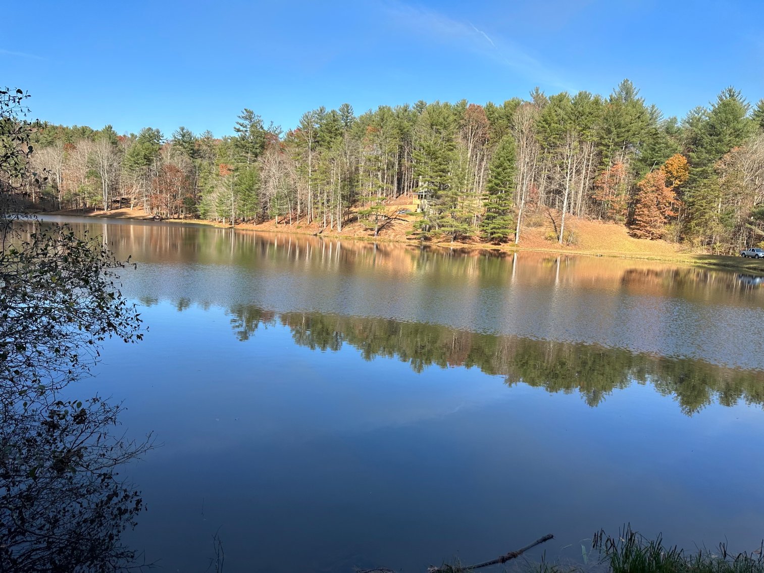 Image for Project Horizon Online Only Auction