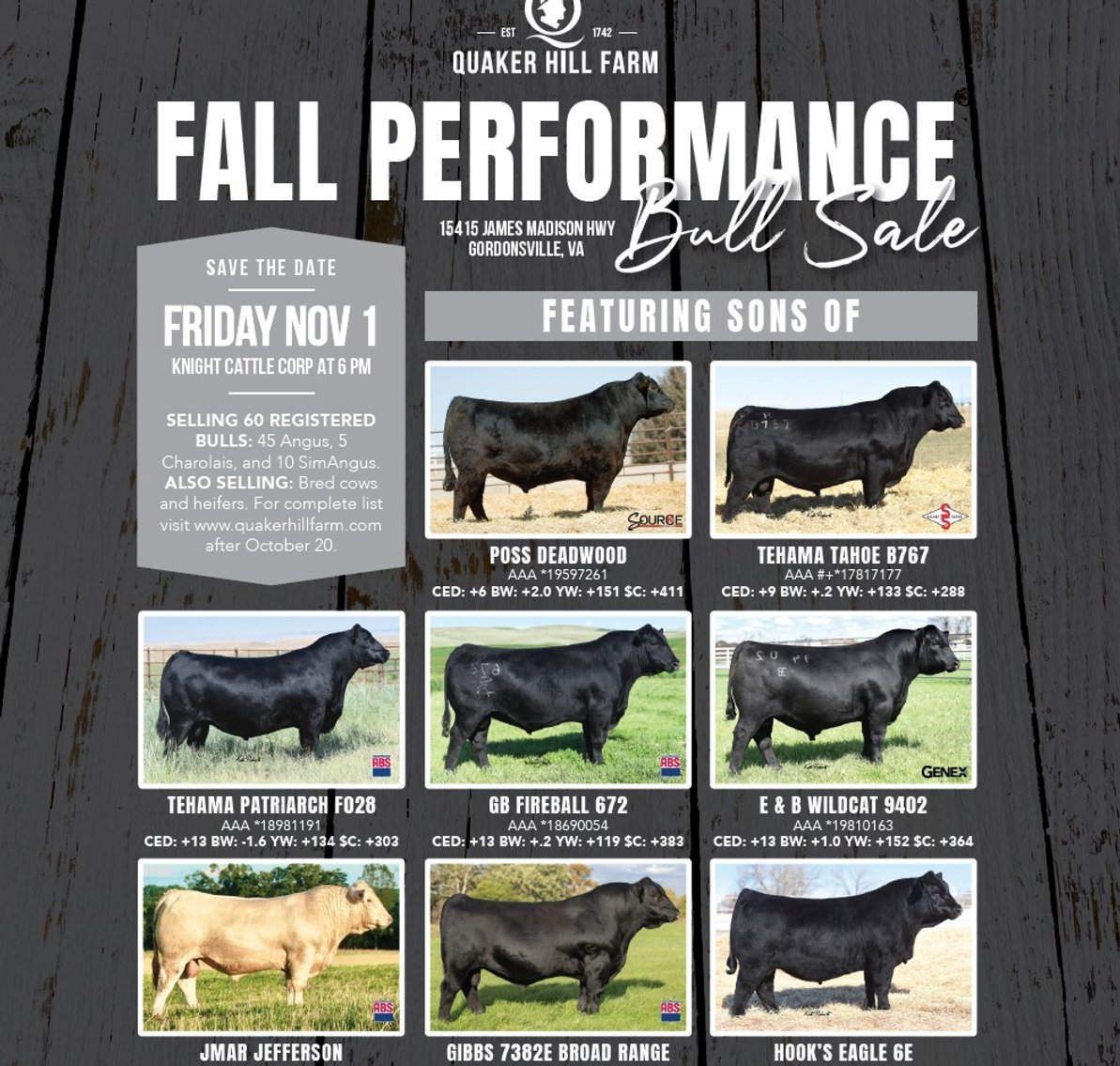Image for Quaker Hill Fall Peformace Bull and Female Sale