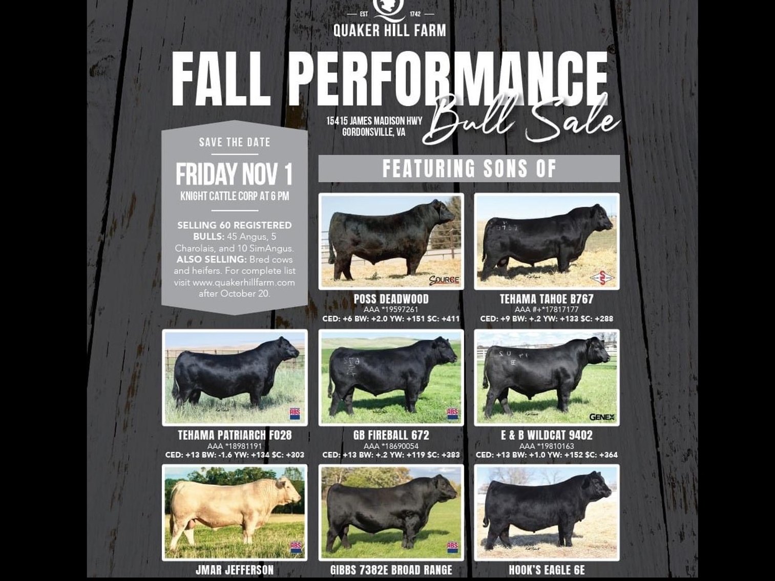 Image for Quaker Hill Fall Peformace Bull and Female Sale