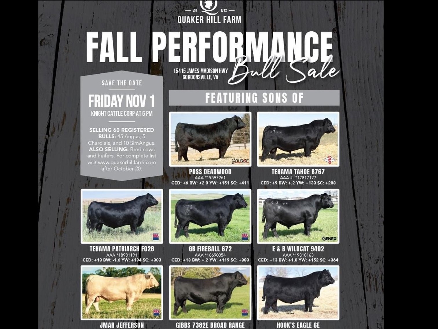 Image for Quaker Hill Fall Peformace Bull and Female Sale