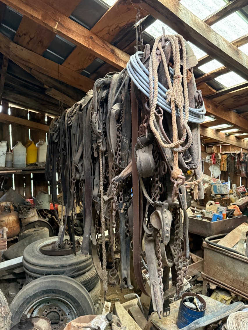 Image for Estate of Audrey Pruett Armentrout