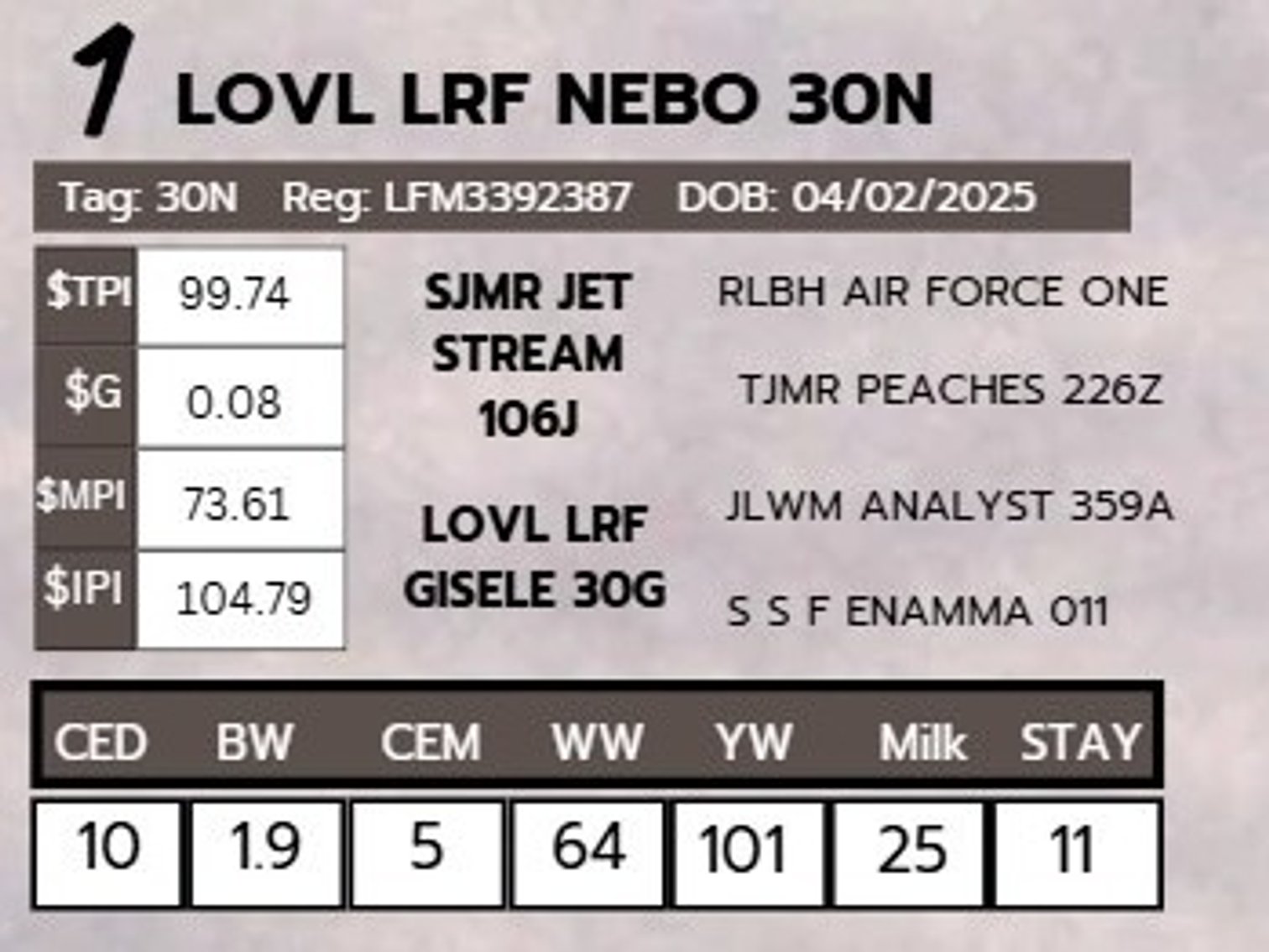 Image for 2nd Annual Spring Celebration Production Sale