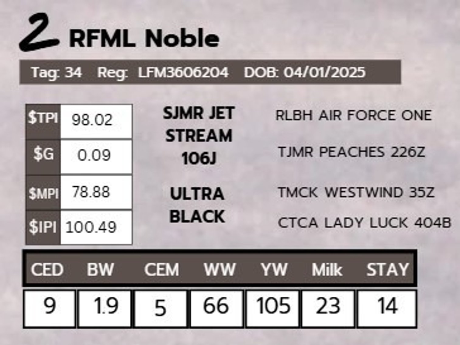 Image for 2nd Annual Spring Celebration Production Sale