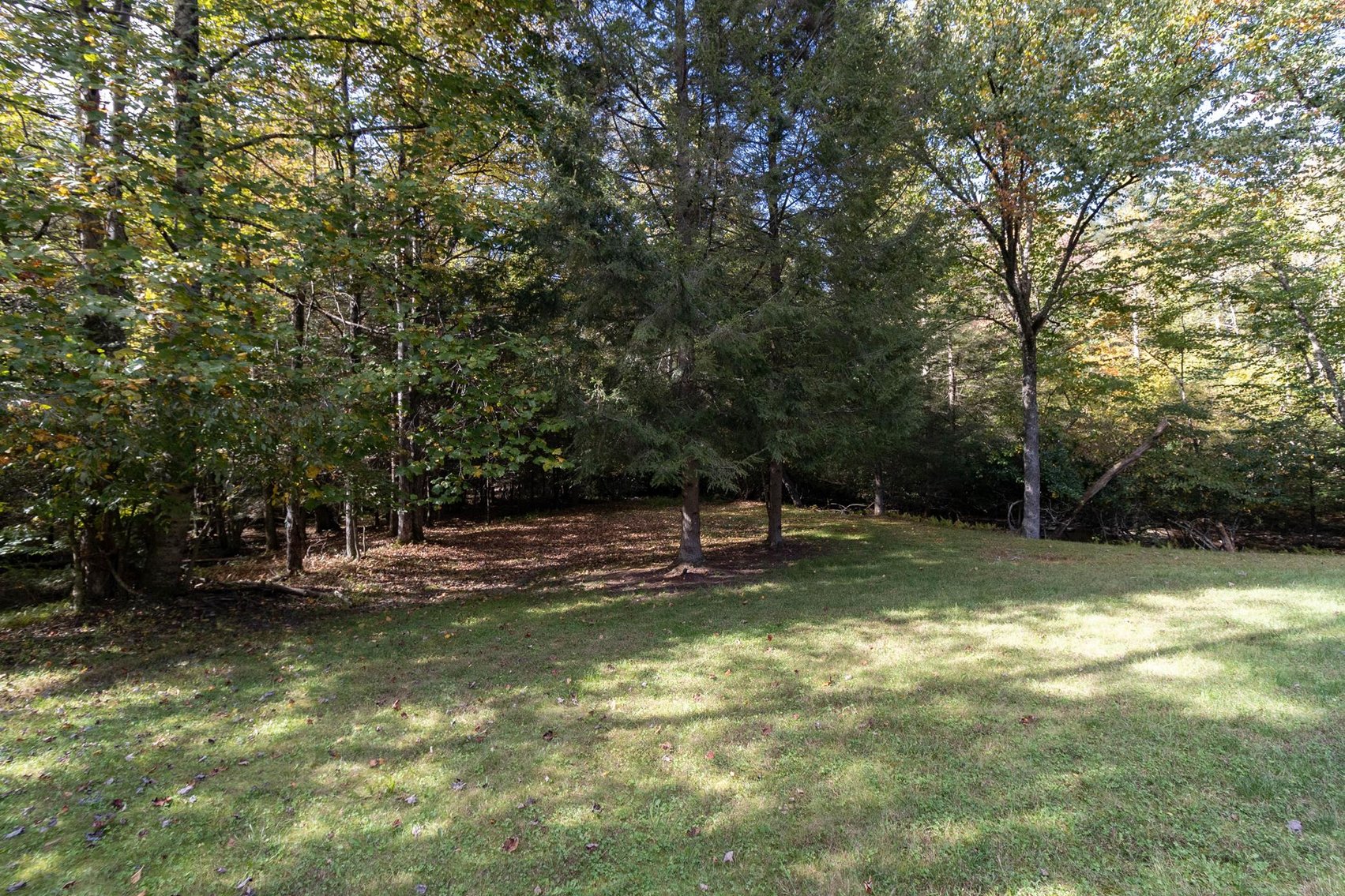 Image for SOLD $528,000 - Luxurious Cabin on 57 Acres in Upshur County