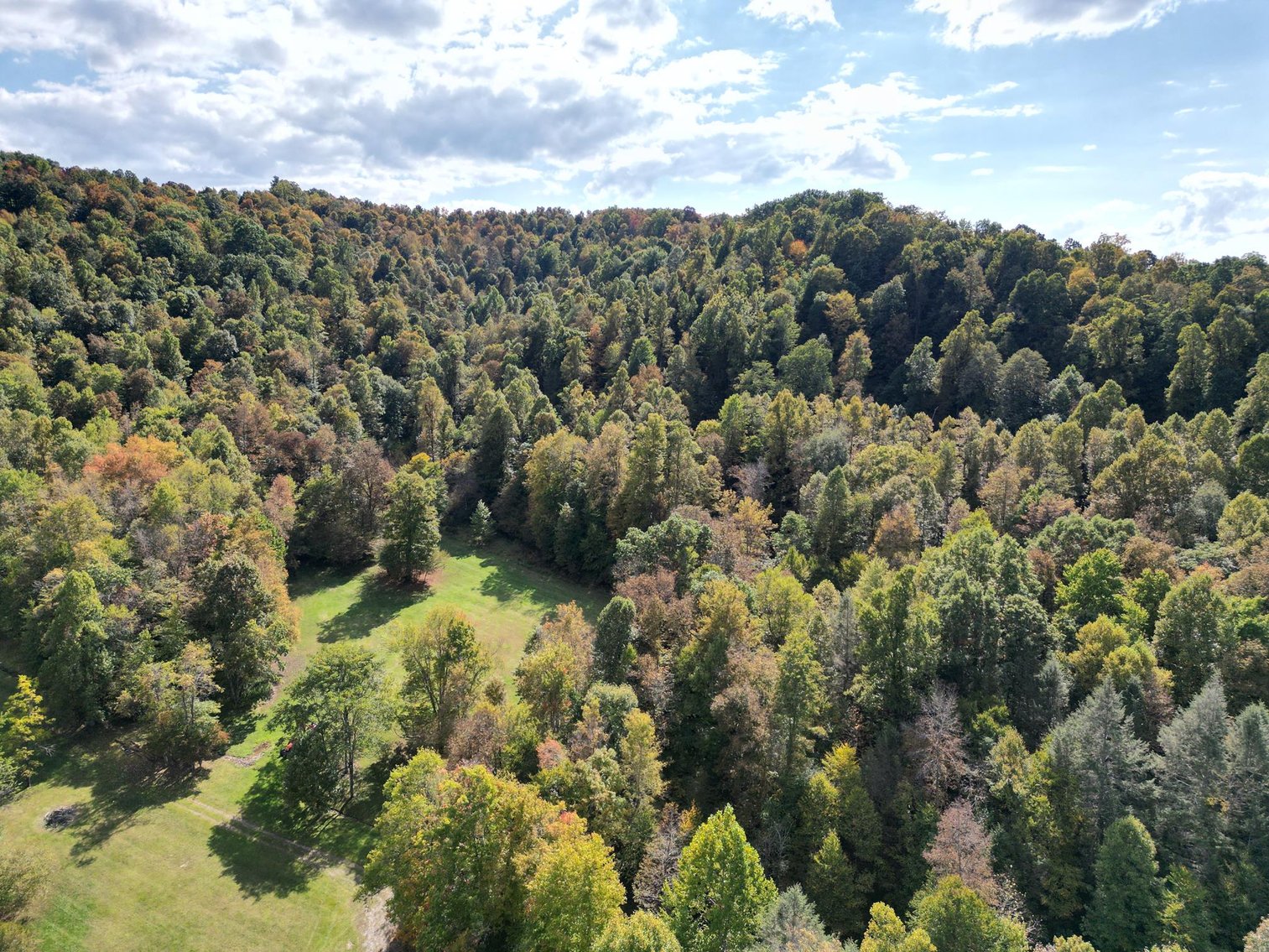 Image for SOLD $528,000 - Luxurious Cabin on 57 Acres in Upshur County