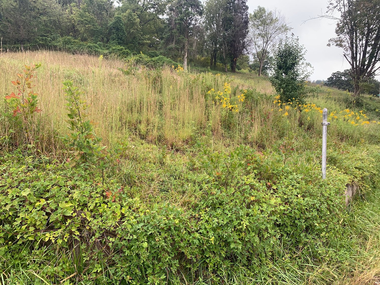 Image for SOLD - 4 Kanawha County Properties Selling to the Highest Bidders