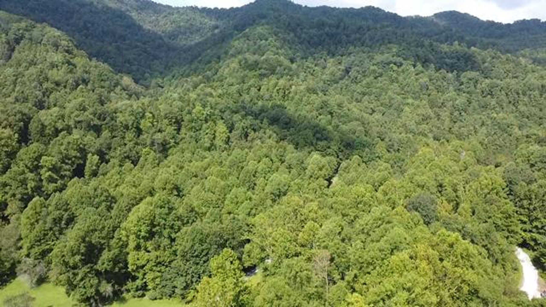 Image for SOLD $132,000 - 121 Acres in Wyoming County Selling to the Highest Bidder