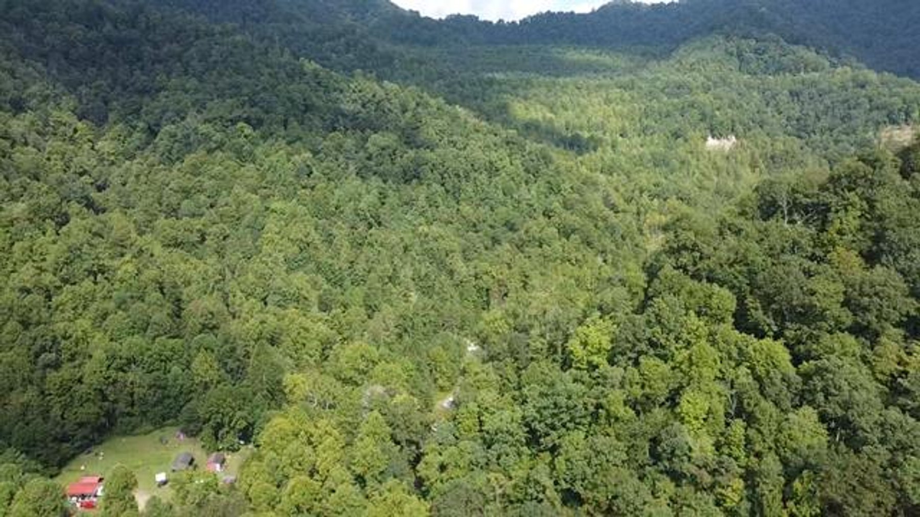 Image for SOLD $132,000 - 121 Acres in Wyoming County Selling to the Highest Bidder