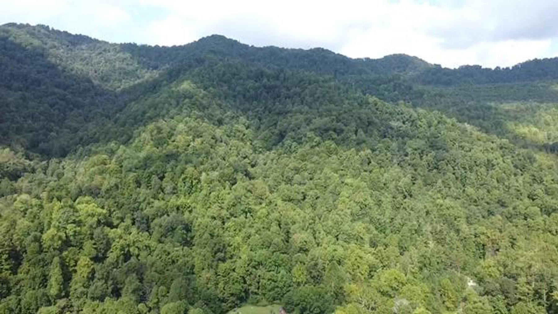 Image for SOLD $132,000 - 121 Acres in Wyoming County Selling to the Highest Bidder