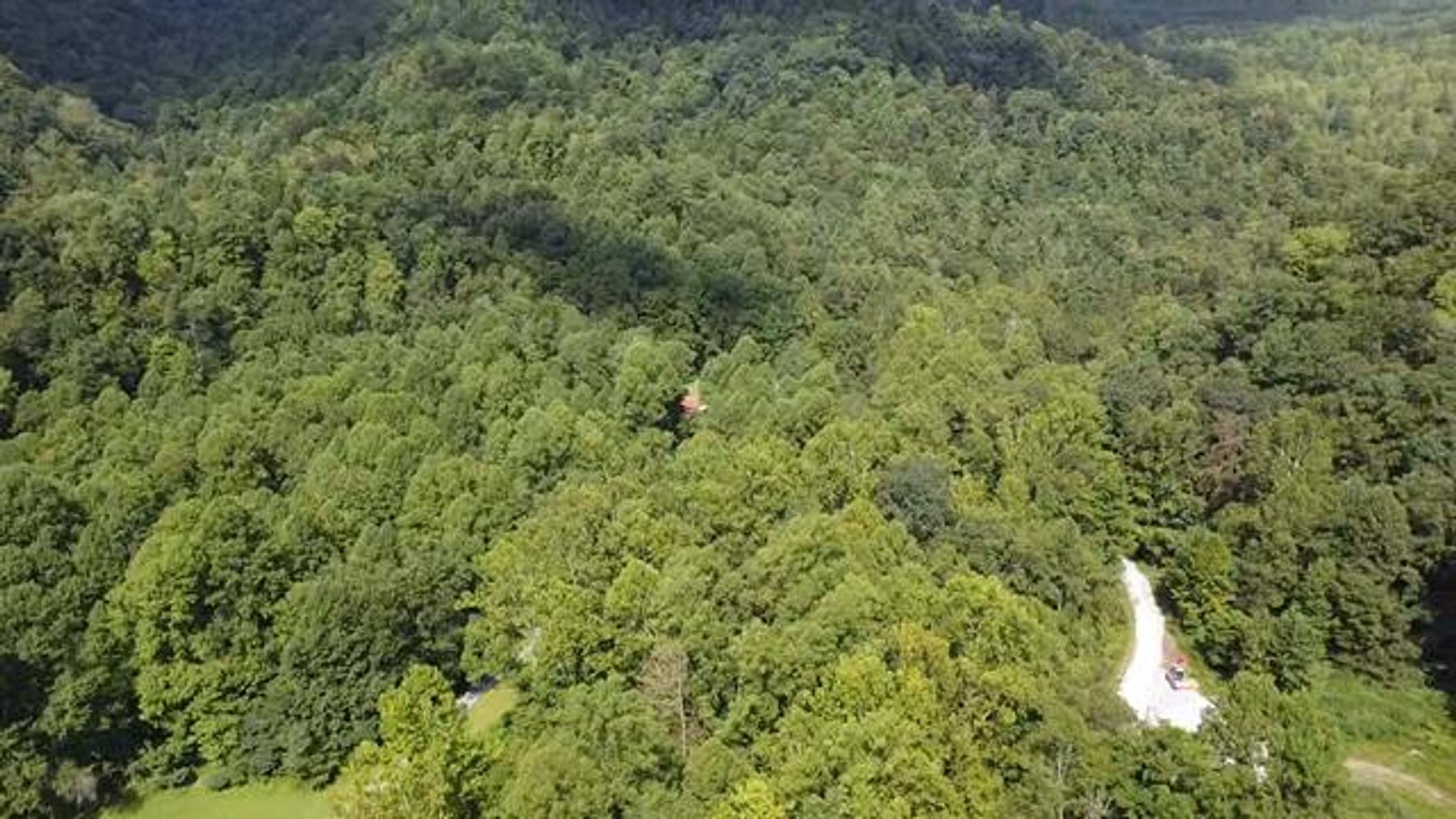 Image for SOLD $132,000 - 121 Acres in Wyoming County Selling to the Highest Bidder