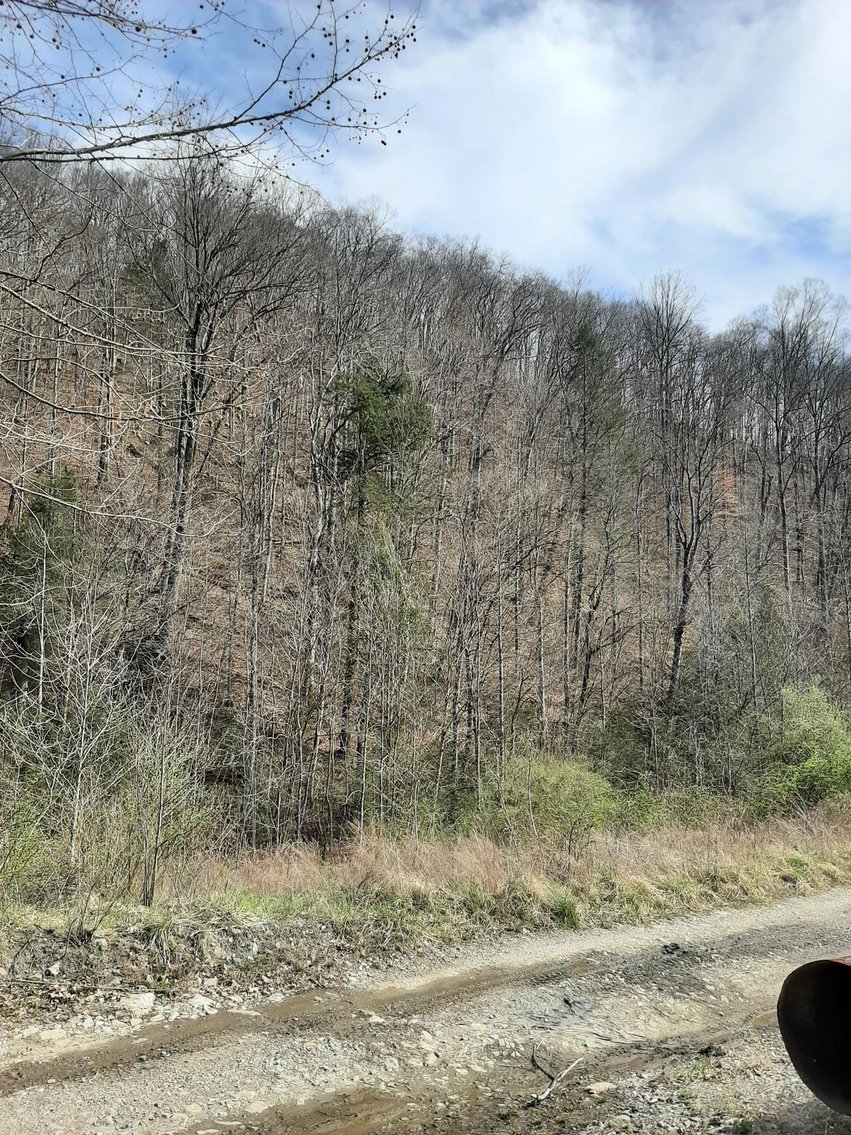 Image for SOLD $132,000 - 121 Acres in Wyoming County Selling to the Highest Bidder