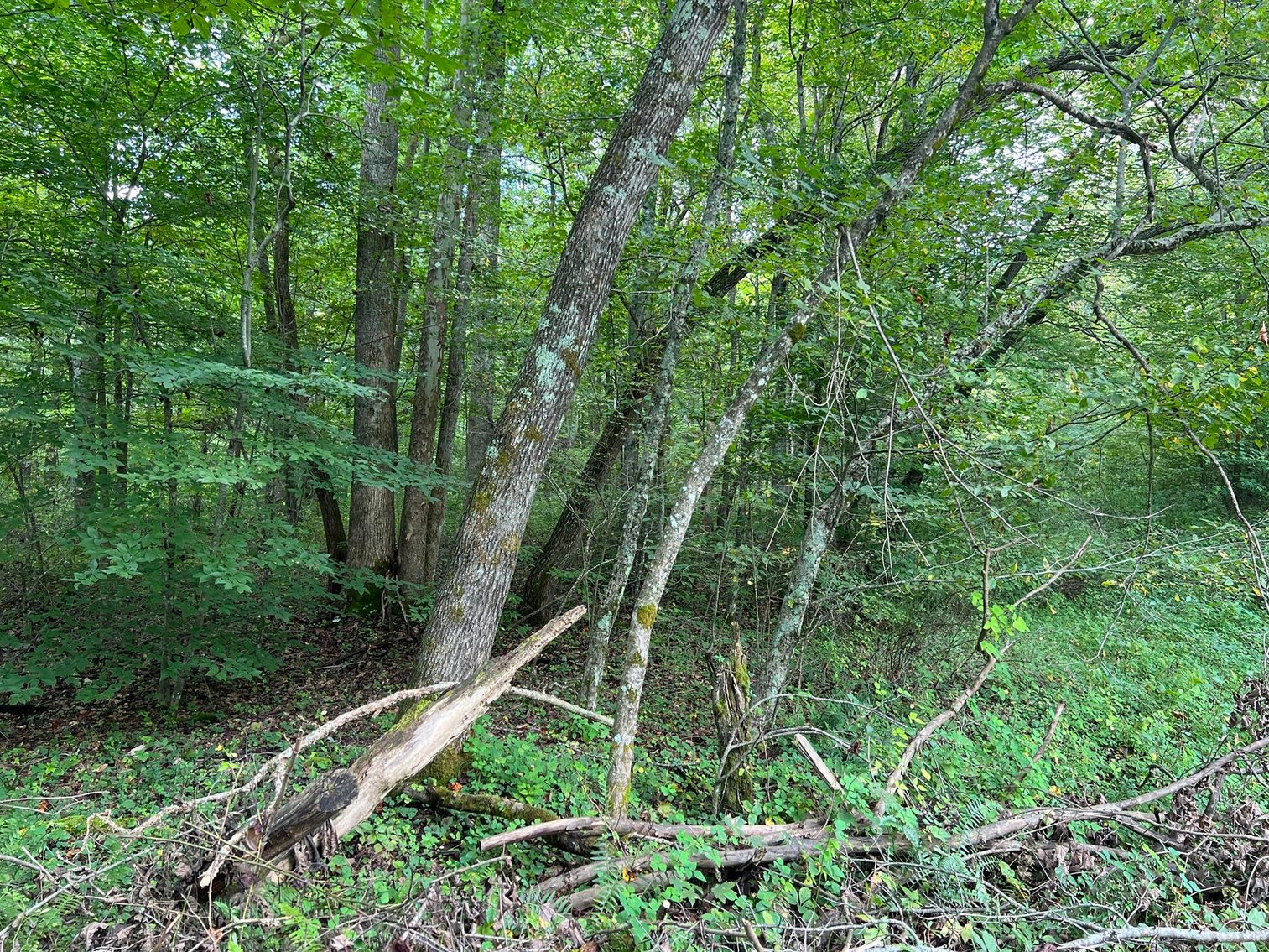 Image for SOLD $132,000 - 121 Acres in Wyoming County Selling to the Highest Bidder