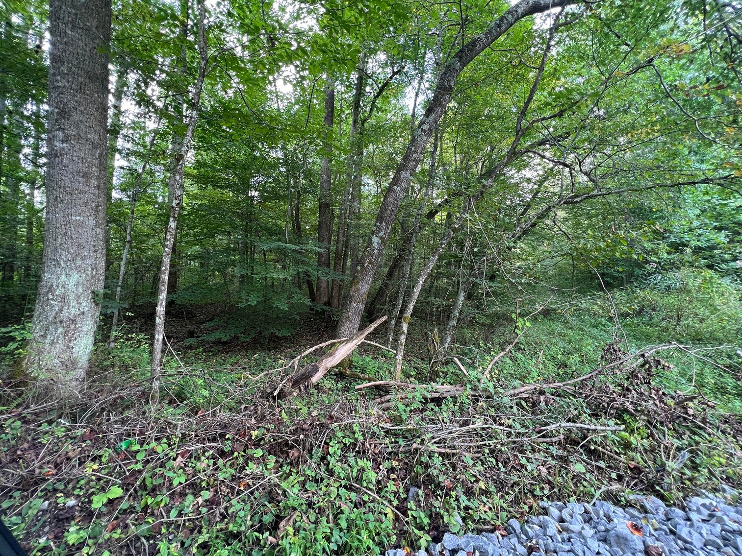 Image for SOLD $132,000 - 121 Acres in Wyoming County Selling to the Highest Bidder